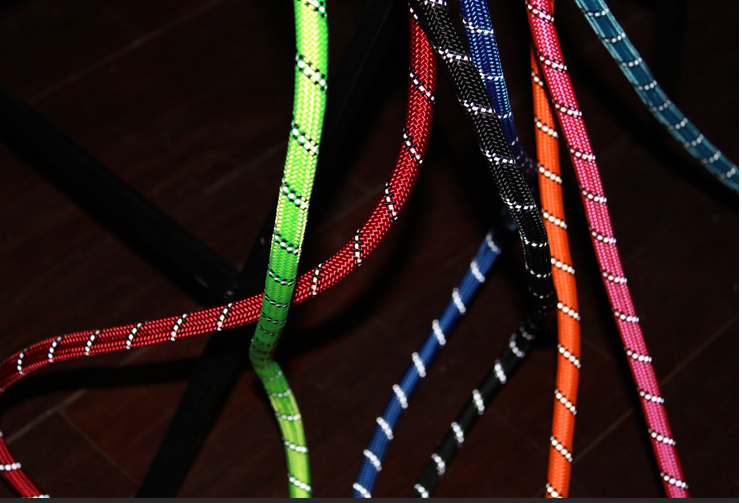 Reflective No-Slip Dog Leash with Soft Foam Handle – Durable Nylon Rope for Small, Medium & Large Dogs