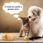 Interactive LED Mouse Toy for Cats | USB Rechargeable, Automatic Moving & Chirping