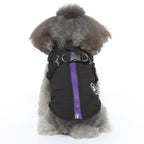 Dog Winter Jacket | Cotton-Padded Coat with Chest Strap