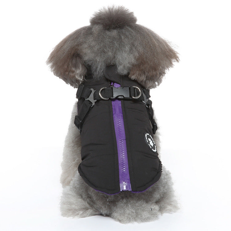 Dog Winter Jacket | Cotton-Padded Coat with Chest Strap