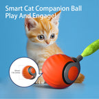 Smart Rechargeable Interactive Cat Ball – Automatic Teaser Toy for Cats | Type-C, Pet Fun & New Year Gift