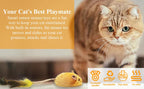 Interactive LED Mouse Toy for Cats | USB Rechargeable, Automatic Moving & Chirping