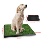 FurryFable Artificial Grass Potty Pad