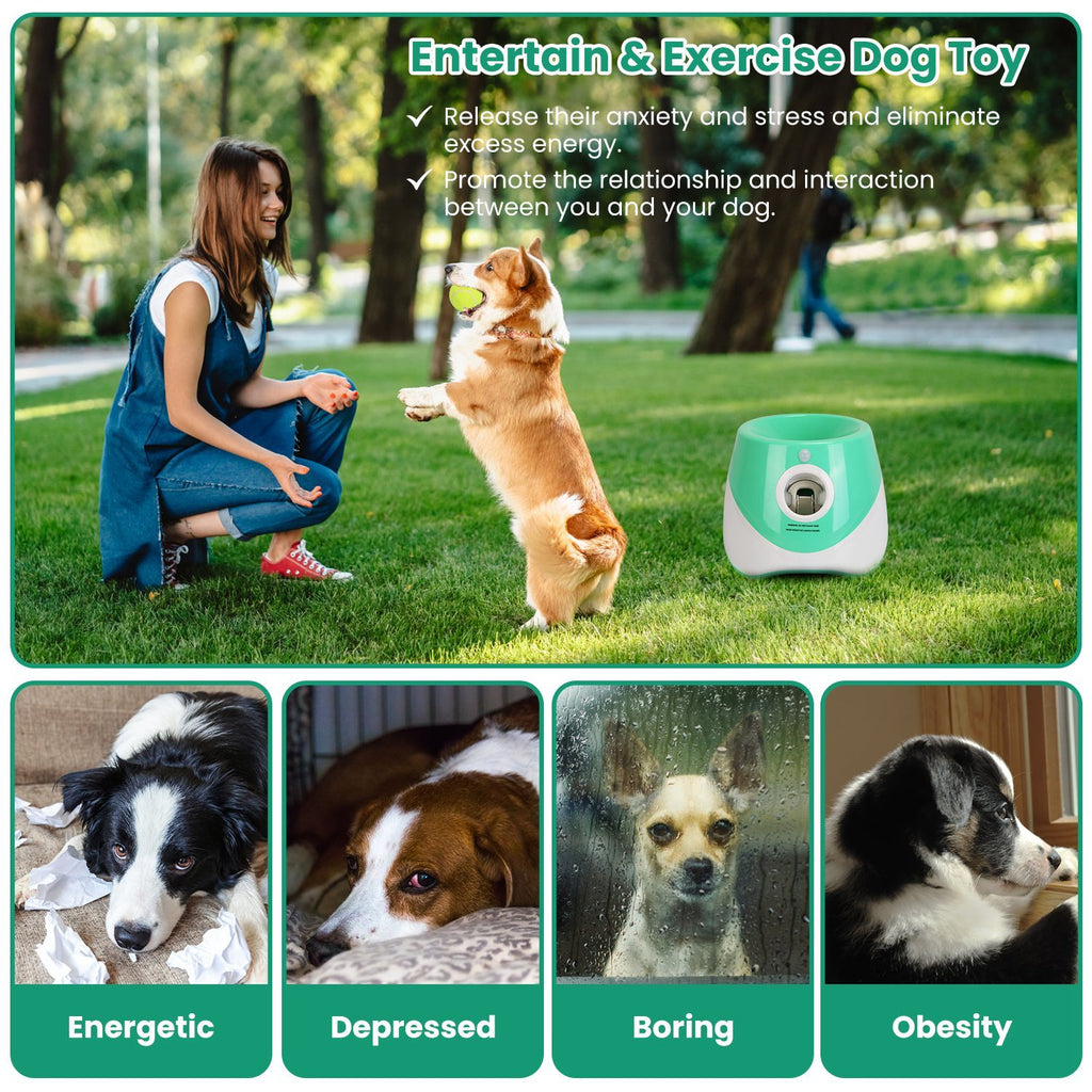 Automatic Dog Ball Launcher | Interactive Fetch Machine for Small & Medium Dogs