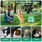 Automatic Dog Ball Launcher | Interactive Fetch Machine for Small & Medium Dogs