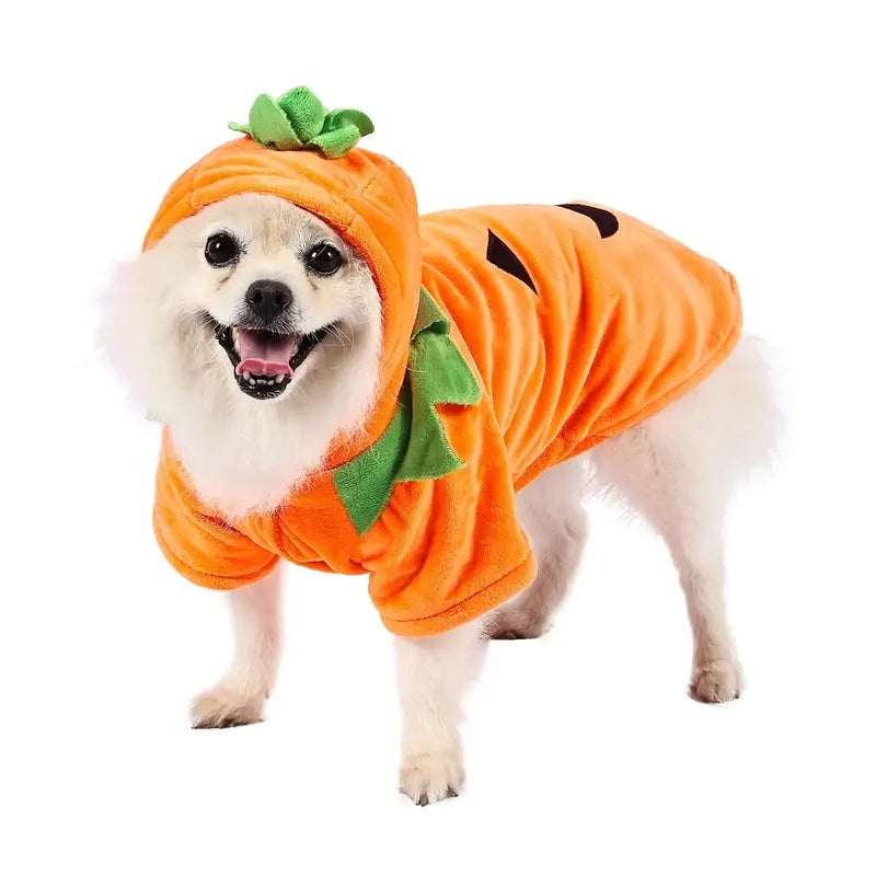 Pumpkin Dog Hoodie | Cute Halloween Fleece Costume for Small Dogs