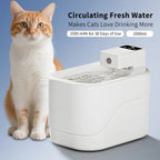 Stylish Pet Water Dispenser | Multi-Filter & Large Capacity
