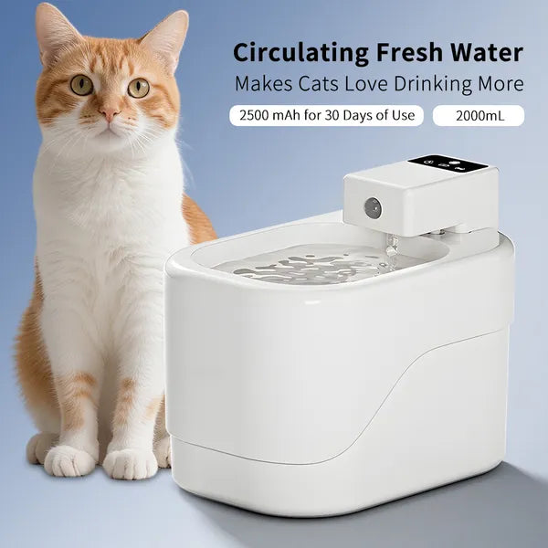Stylish Pet Water Dispenser | Multi-Filter & Large Capacity