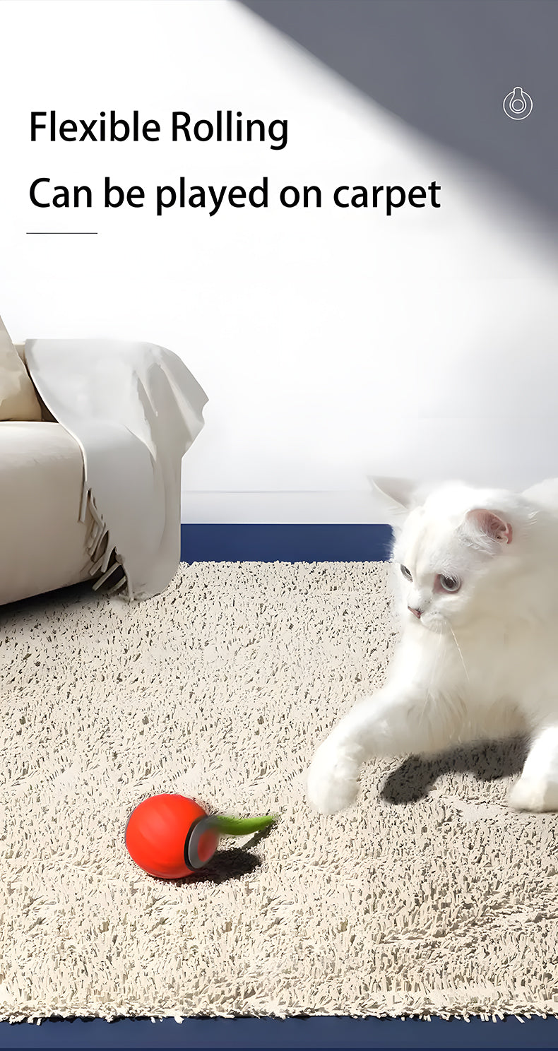 Smart Rechargeable Interactive Cat Ball – Automatic Teaser Toy for Cats | Type-C, Pet Fun & New Year Gift