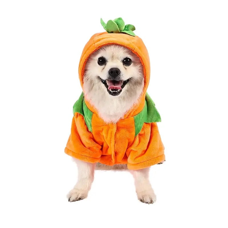 Pumpkin Dog Hoodie | Cute Halloween Fleece Costume for Small Dogs