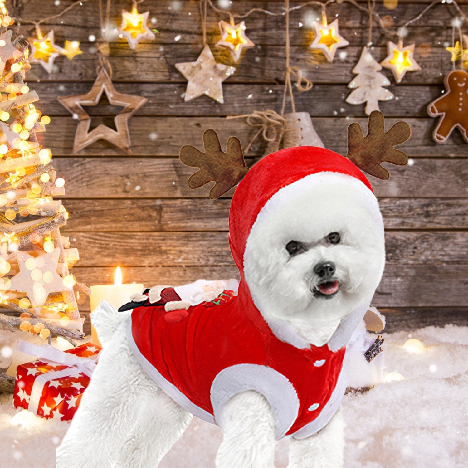 Christmas Pet Costume | Santa & Reindeer Outfit for Dogs & Cats