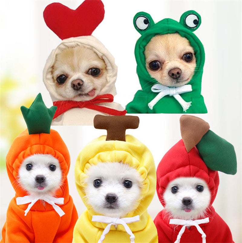 Fruit Dog Hoodie | Warm Fleece Winter Outfit for Small Dogs & Cats