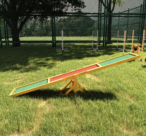 FurryFable Dog Agility Seesaw in a backyard with a happy dog successfully training