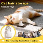 Cat Hair Memorial Pendant Set - Pet Keepsake Keychain