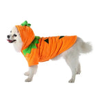 Pumpkin Dog Hoodie | Cute Halloween Fleece Costume for Small Dogs