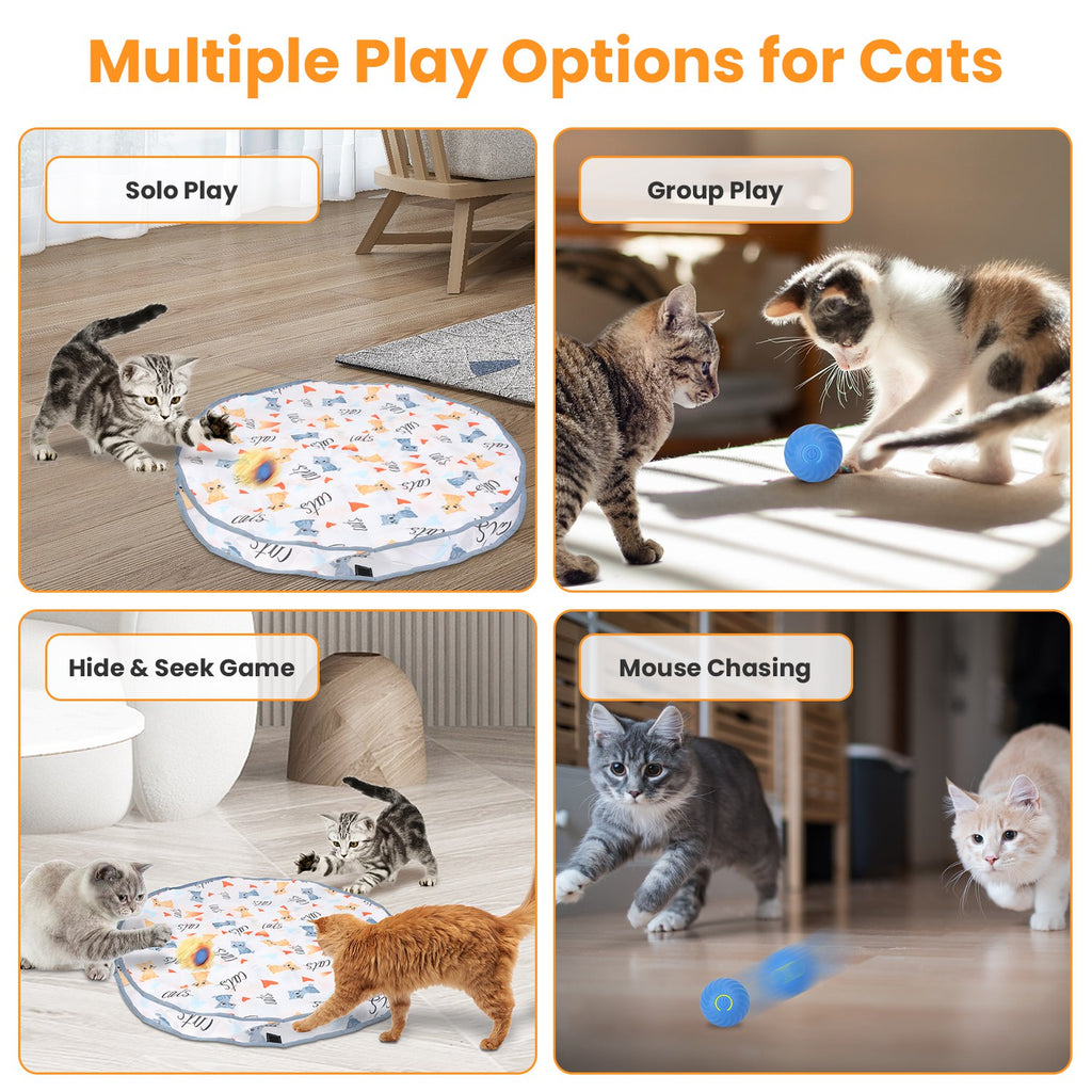 FurryFable Rechargeable Motion Cat Ball | Rolling Pouch Toy