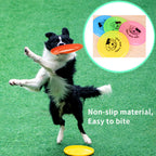 Silicone Flying Disc Toy – Interactive Chew-Resistant Frisbee for Dogs & Cats