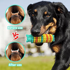 Indestructible Dog Chew Toy – Tough Durable Toy for Aggressive Chewers