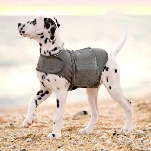 FurryFable Calming Dog Anxiety Vest in Heather Gray, front view on a happy dog.