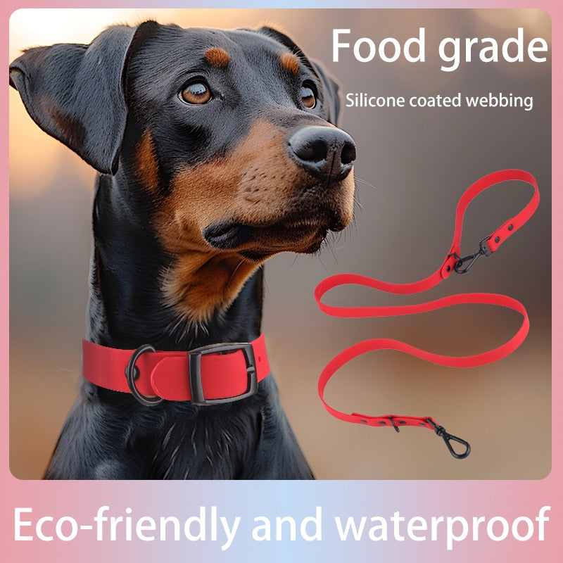 Waterproof Silicone Dog Collar & Leash Set – Soft, Odor-Free, Heavy-Duty & Easy to Clean