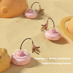 Interactive Cat Teasing Toy Set – Fun and Engaging Play Toys for Cats and Dogs