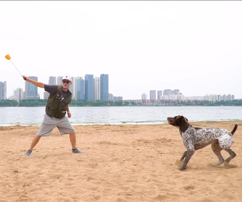 Indestructible Dog Toy – Rope Fetch & Tug Toy for Large Aggressive Chewers