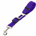 Detail shot of the sturdy swivel clasp and high-density nylon webbing of the pet car seat belt.