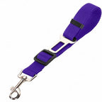 Detail shot of the sturdy swivel clasp and high-density nylon webbing of the pet car seat belt.