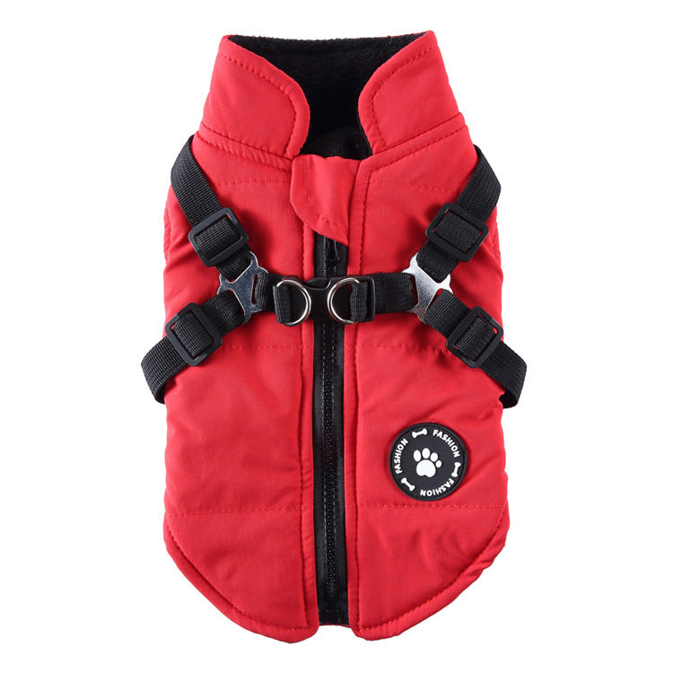 Dog Winter Jacket | Cotton-Padded Coat with Chest Strap