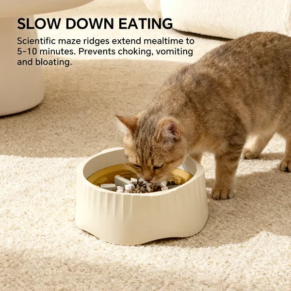 FurryFable Dual-Purpose Slow Feeder Pet Bowl | Fast & Slow Modes