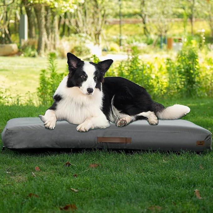 FurryFable Inflatable Waterproof Outdoor Dog Bed | Medium