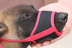 Dog wearing a pink and black muzzle held by a person