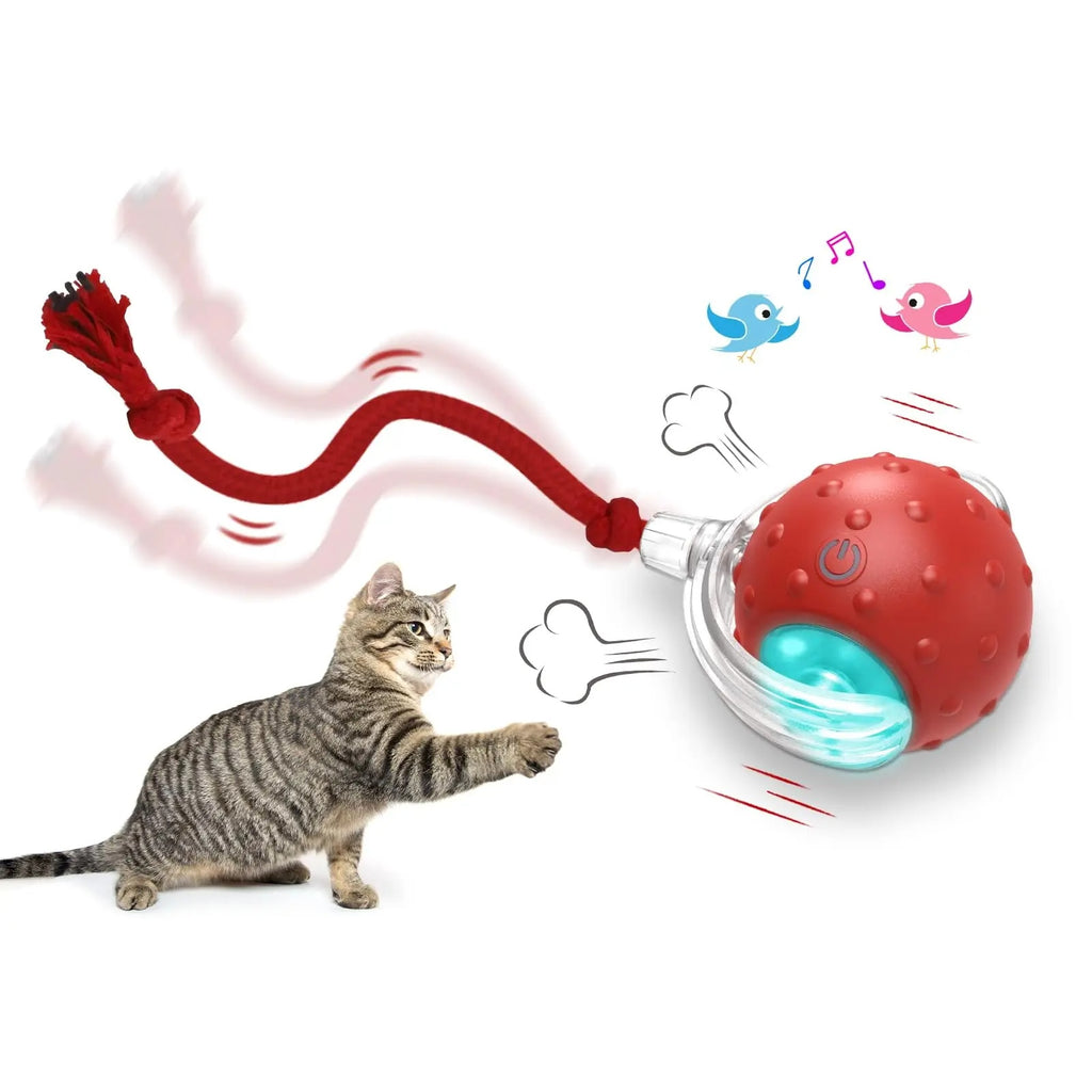 FurryFable Super Drive Rolling Ball | Interactive Cat Toy
