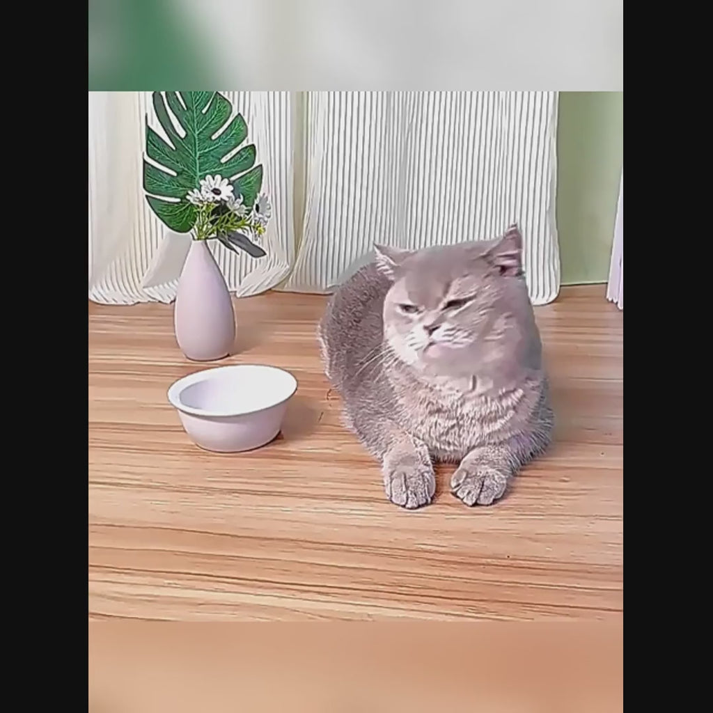 FurryFable Cat-Shaped Gravity Pet Feeder demo 2